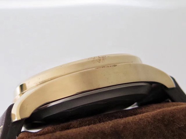 IW501005 Bronze Case