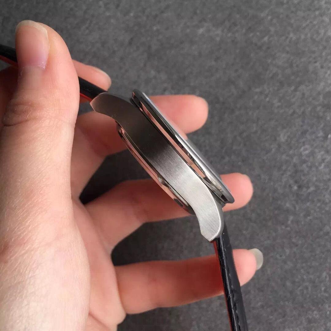 IWC Brushed Case