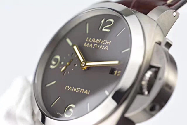 PAM 351 Titanium Case